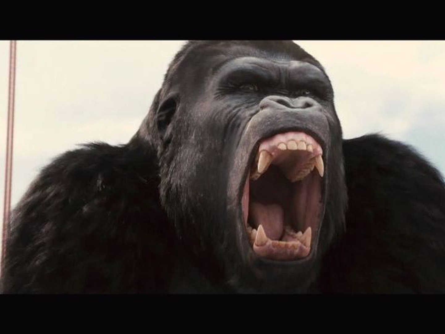 La Planète des singes : Les origines - Effets speciaux Weta, image size:1440x1080