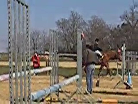 Concours centre équestre Saintes
