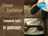 Equitation -  Comment faire le pansage d’un cheval