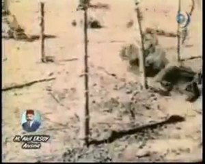 Zulmü Alkışlayamam