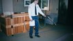 Carpet Cleaning Vancouver | Sears Carpet & Upholstery Cleaning