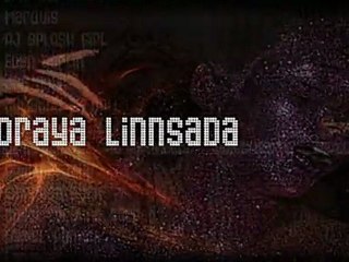 Borderline Biennale 2011@ the Abode of Chaos: «The Accomplices»