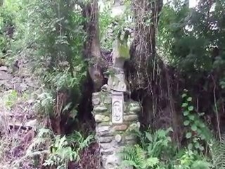 La chaussée des géants, le chemin de pierre, Alas (09).