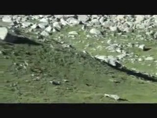 ‪KARADENİZ-KAÇKAR-AYDER