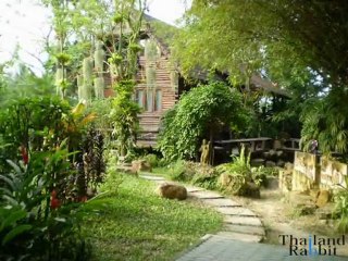 Thailand Rabbit Chumphon - Toilet Park Tour