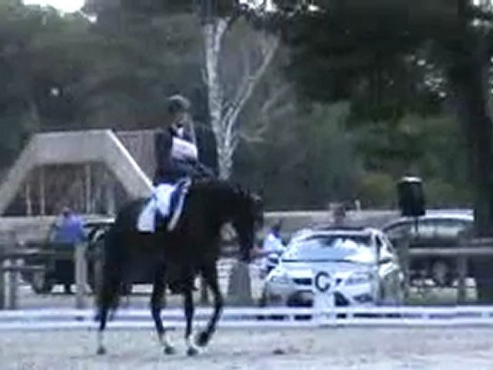 cce fontainebleau dress sophie