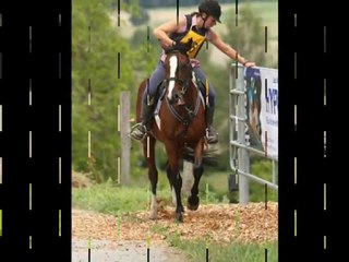 TREC de Brit 2011