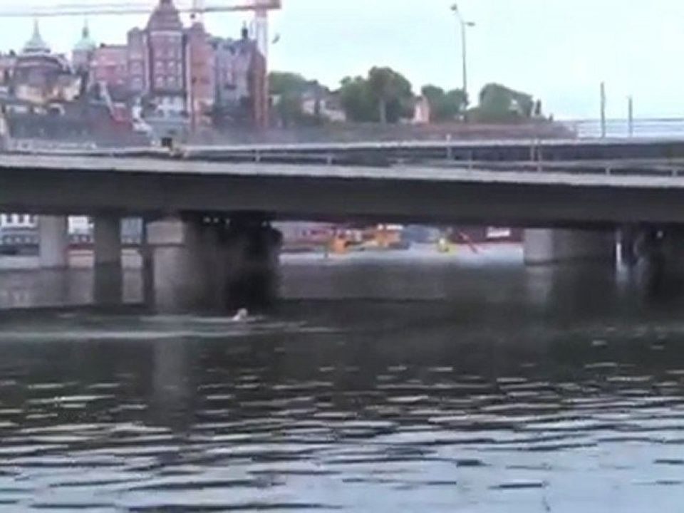 Train Surfing