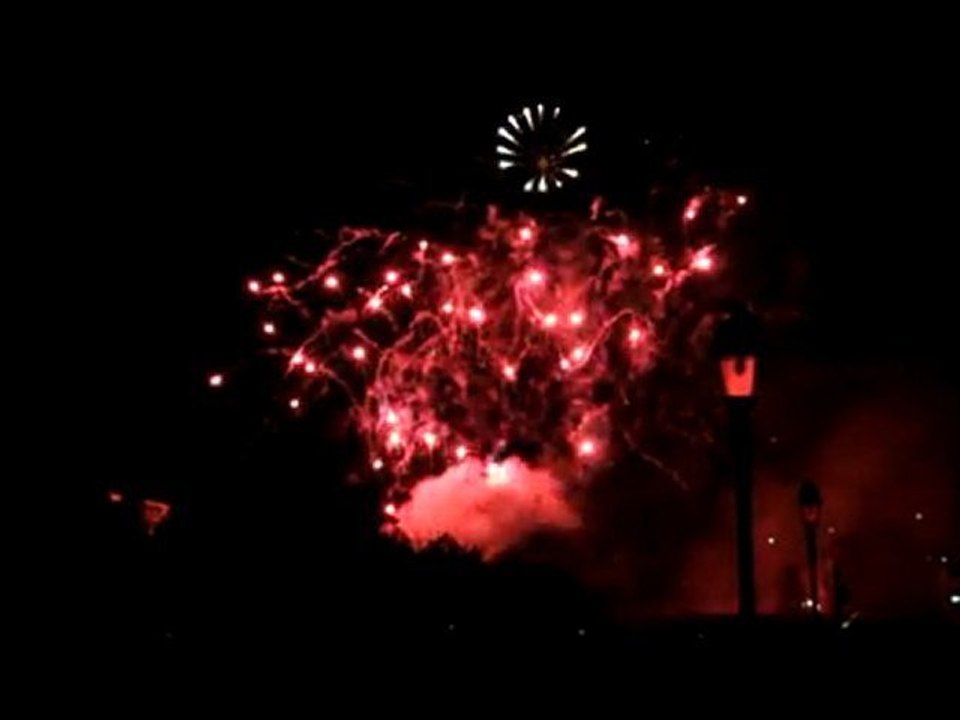 Feu d'artifice 14 juillet - Niort 2011