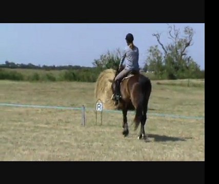 stage rodolphe scherer reprise cecile