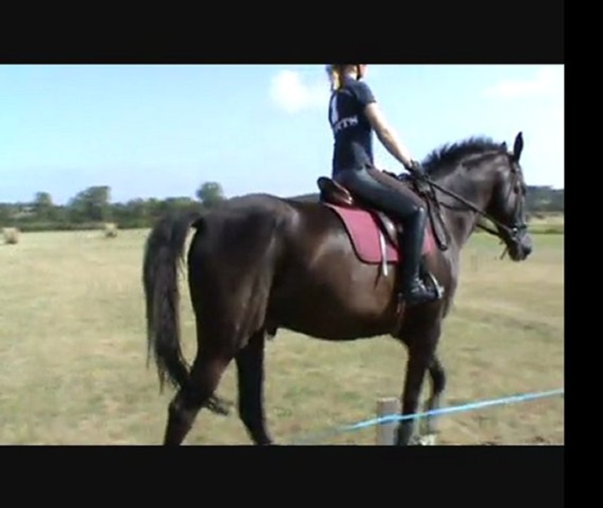 stage rodolphe scherer reprise celine