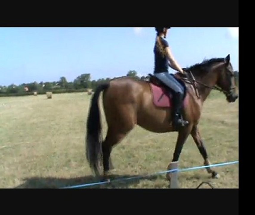 stage rodolphe scherer reprise julie