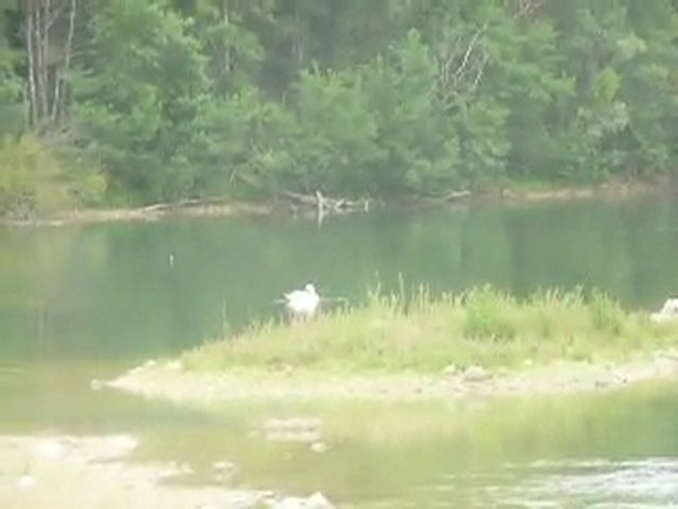 PLAINE DE SORQUES JUILLET 2011