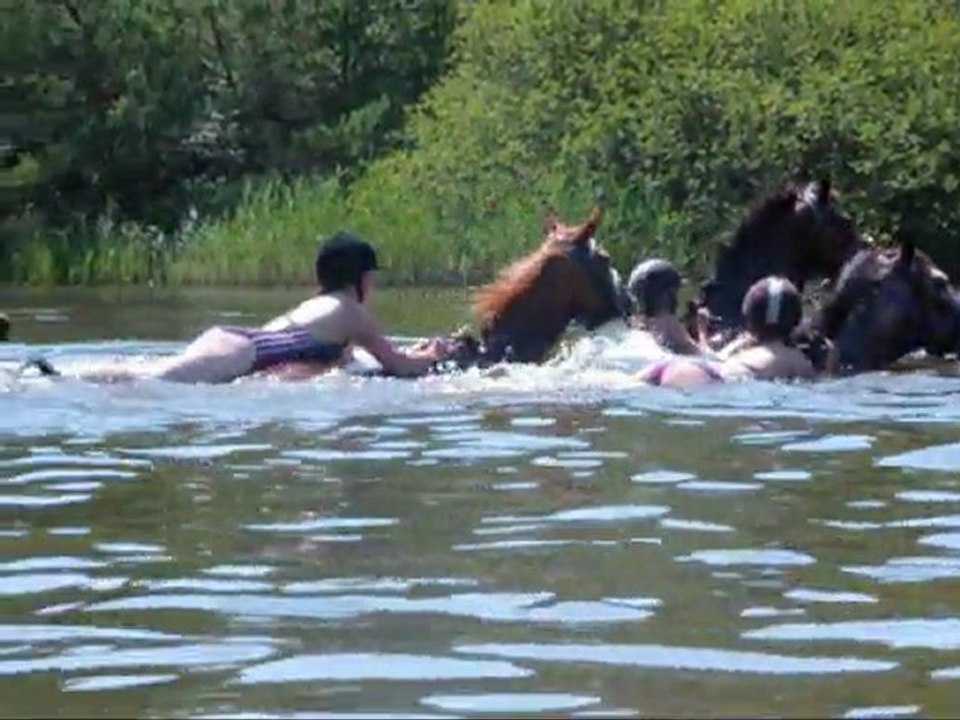 etand des bois avec les ecuries de la foret