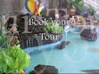 Thailand Rabbit Chumphon - PakNam Lang Suan Tour