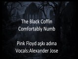 The Black Coffin-Comfortably Numb (Pink Floyd)
