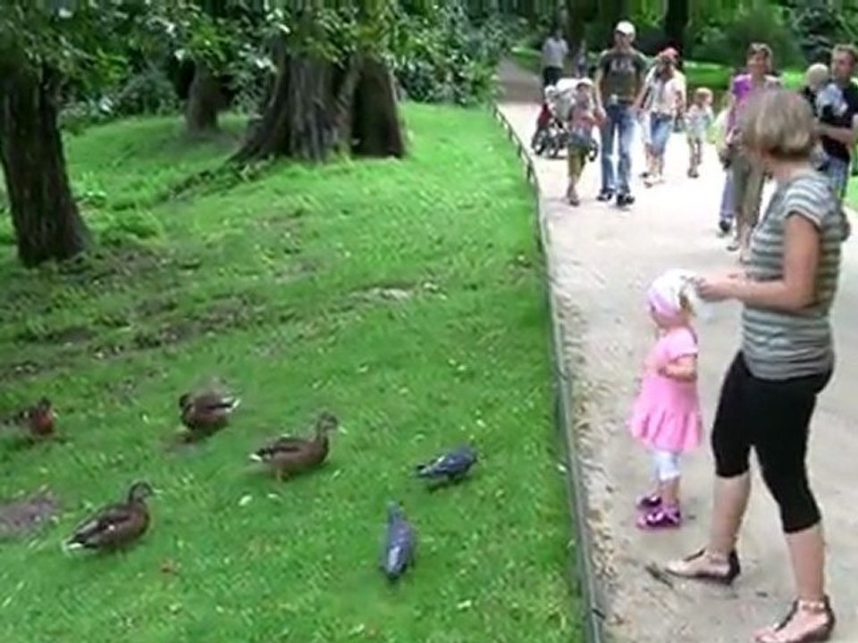 2011-07 - Karolina - Park Łazienkowski - HD1980 - H.264