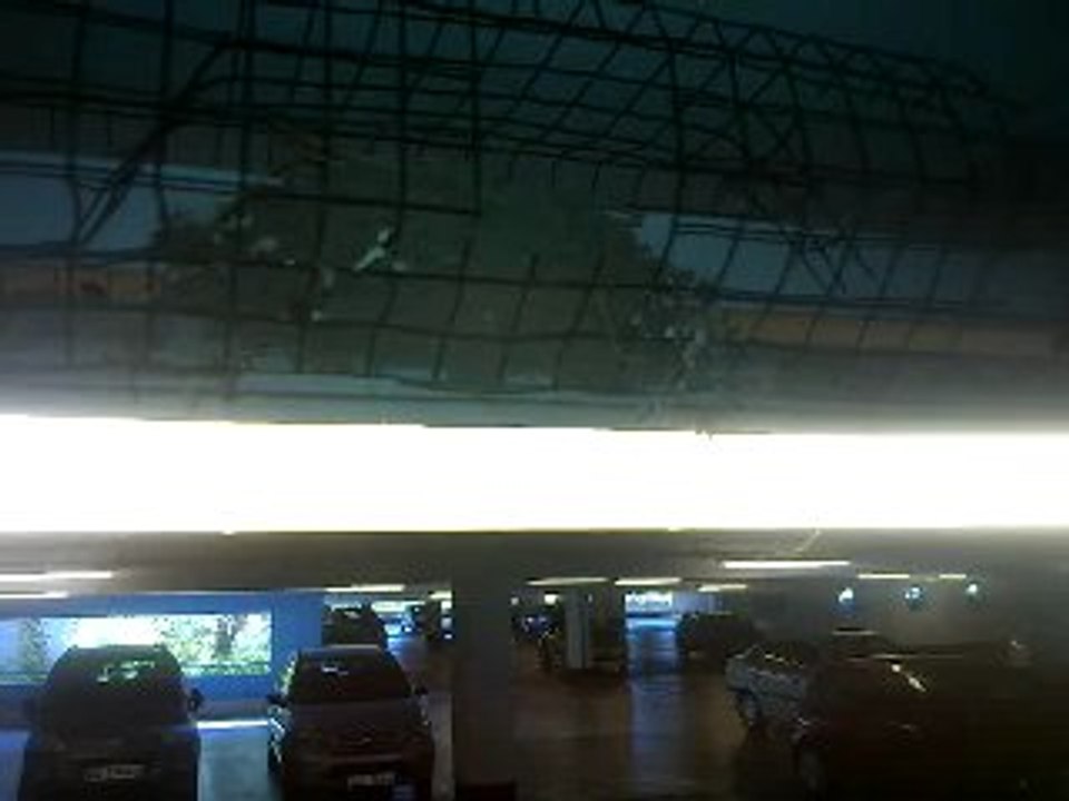 Hirondelles nid 5 tous les jeunes se sont envolés 280620111122