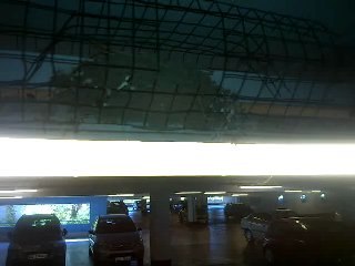 Hirondelles nid 5 tous les jeunes se sont envolés 280620111122