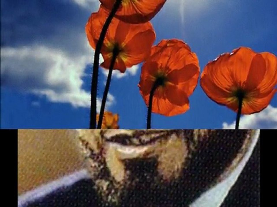 Şehidler Kervanı // Şeyh Said