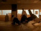 Steven Seagal Films Aikido