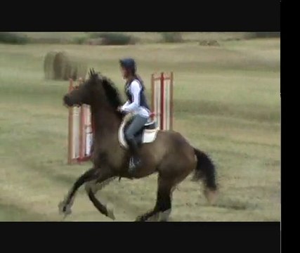 stage rodolphe scherer enchainement marais