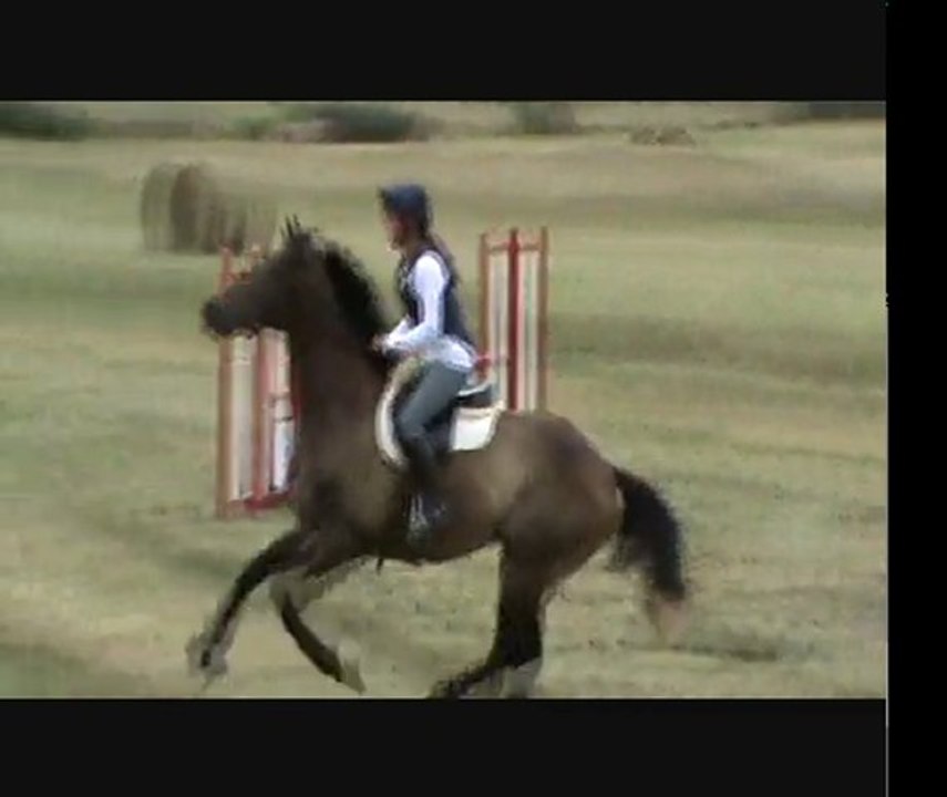 stage rodolphe scherer enchainement marais