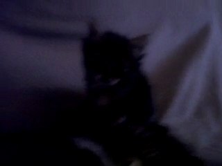 VID 00000-20110530-2044