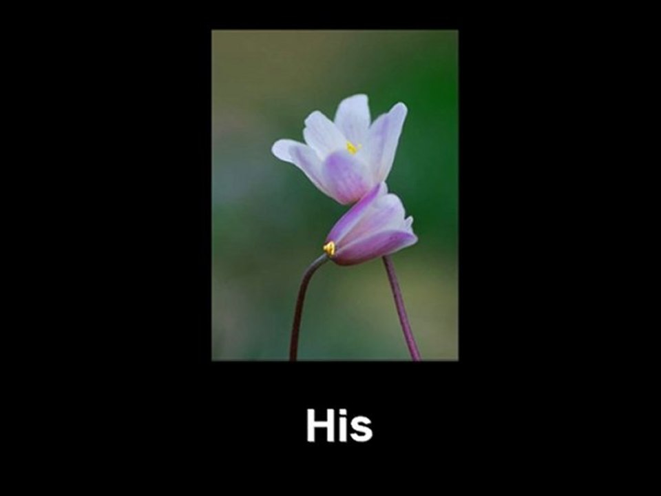 His