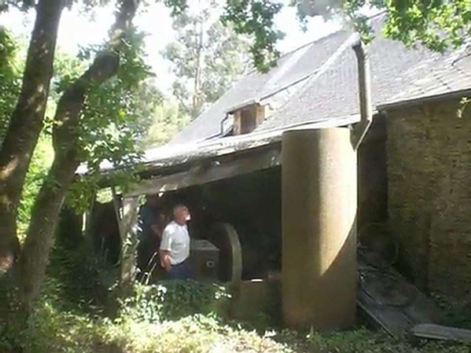 Moteur Petter Fielding Small Video