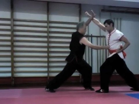 Técnicas básicas, Choy Li Fut