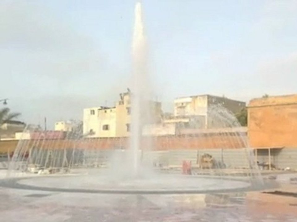 vidéo2011_0730