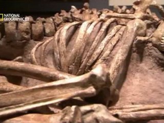 NG | Bilimin Ta Kendisi: Evrim - Darwin Yanıldı mı?