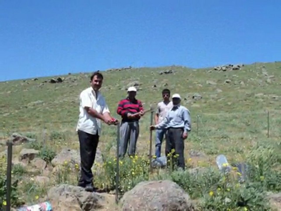AKSU KÖYÜ YAĞLICA YAYLASI  fidanlar çevrildi