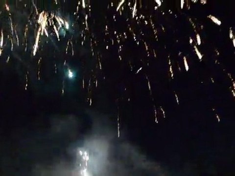 Promenades musicales Compiègne 02.07 (2)