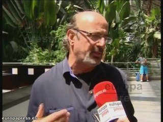 Download Video: CCOO: Los nuevos decretos mejorarán la educación