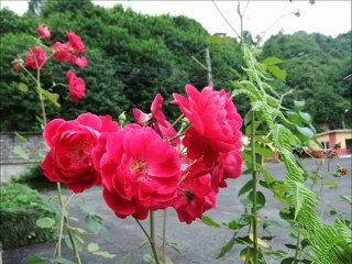 KADİR OKUTAN53 (SEVGİLİM SENİN İÇİN ZERRİN ÖZER