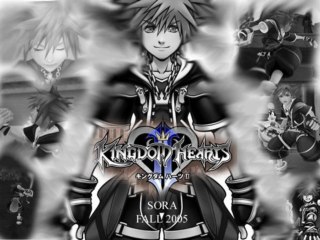 Kingdom hearts 2-20/ Black & White