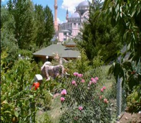 McTunceR -  Avareyim Pervaneyim 2011 ( ilahi )