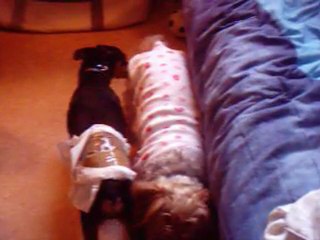 Gin-gin le 28 juillet 2011 013