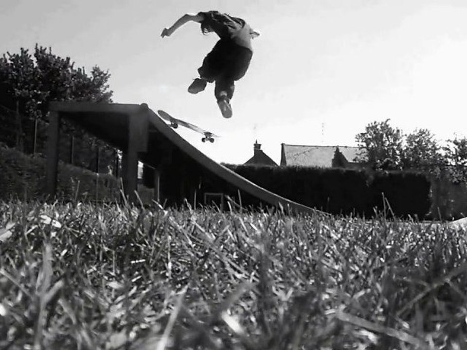 skate 2010-2011