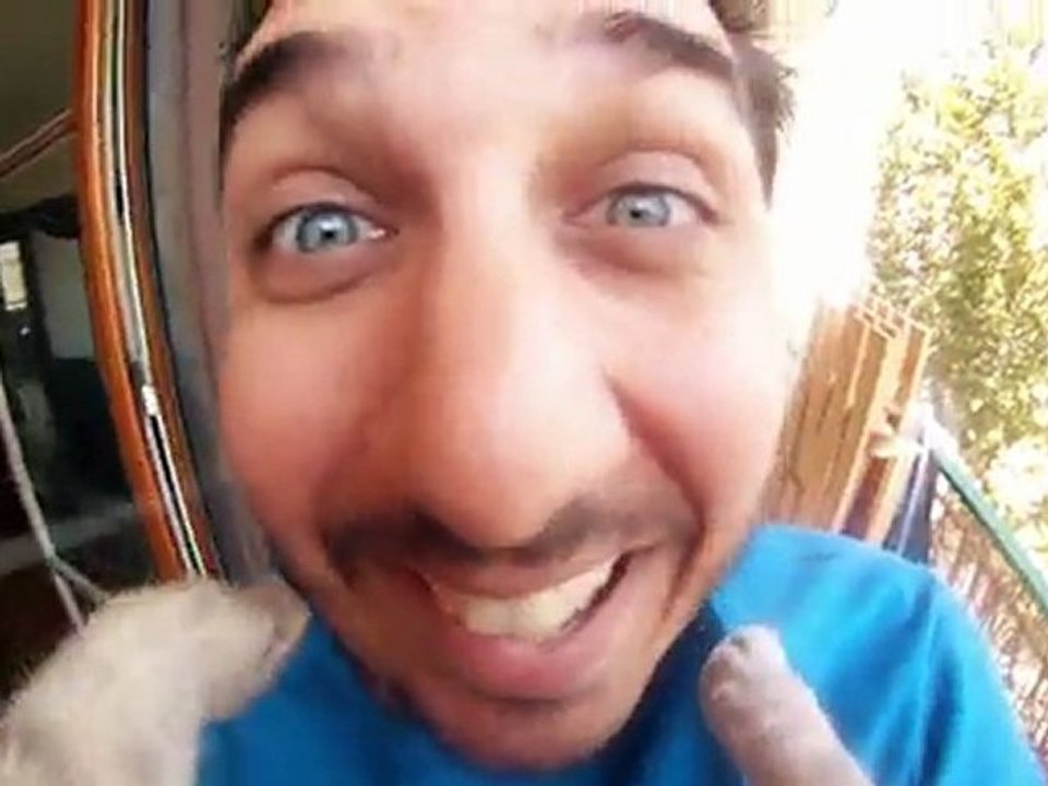 Dans les yeux du chat de Luciano
