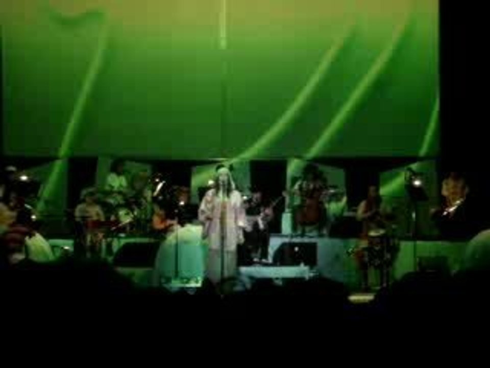 Concert de Camille aux Eurockéennes