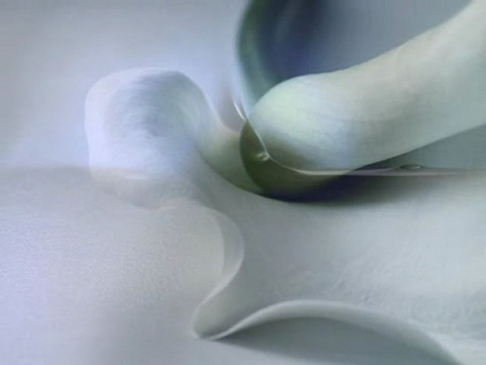 Blanco (La pureza)