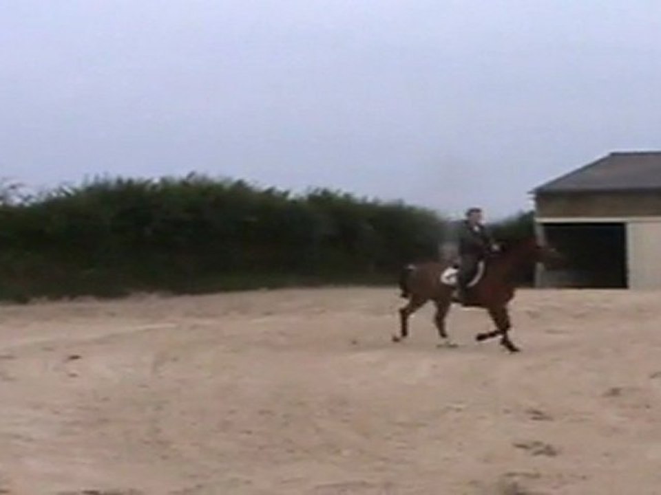 saphir 5