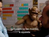 La Planète des singes : Les origines - Effets Speciaux Weta [VOST HD]