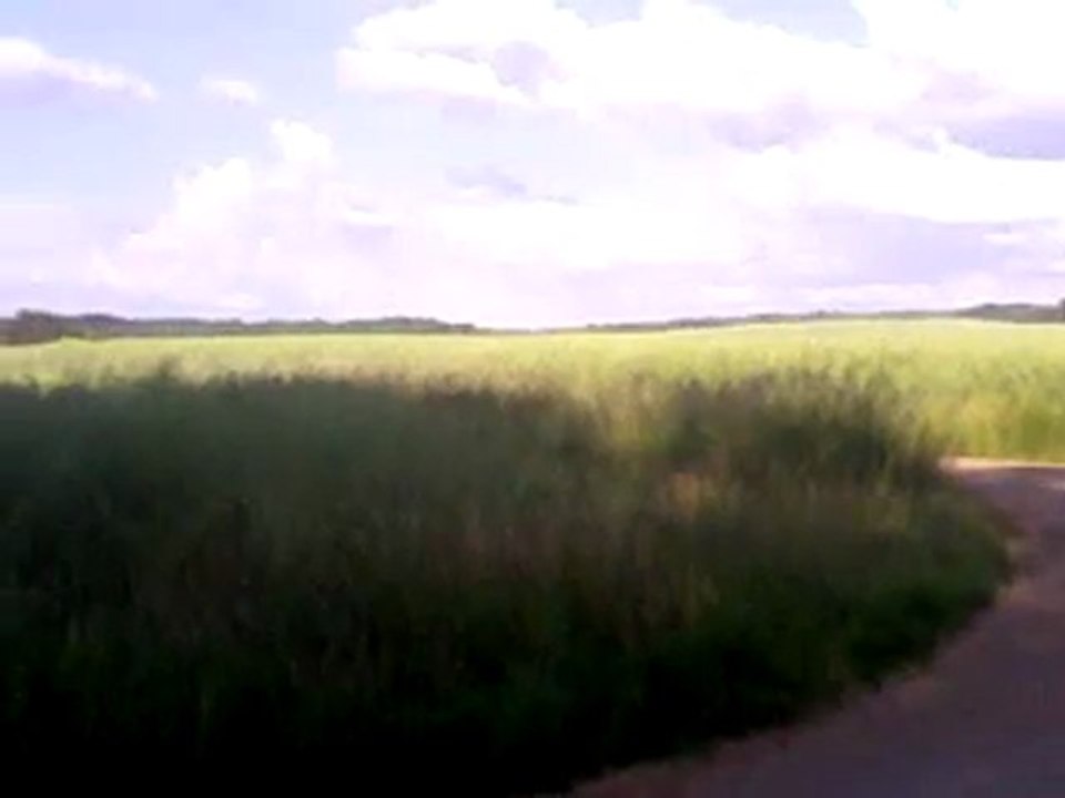 xp6 repliqua ktm ptit levette