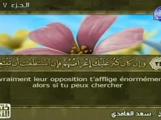 Le Noble Coran (vostfr) Juz' 7(Al-Maïdah v82- Al-An'am v110)