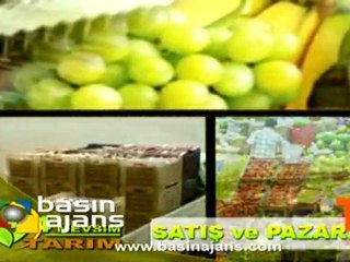 4 Mevsim Tarım Jenerik çalışması