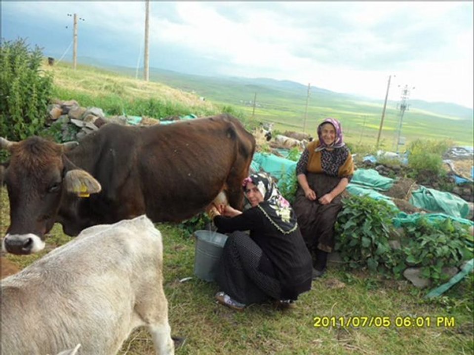 Ardahan bayramoğlu köyü mehmet ali arslan köyü kora köyü + yeni kürtçe müzik